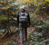 Man wandelt in het bos rondom Oss