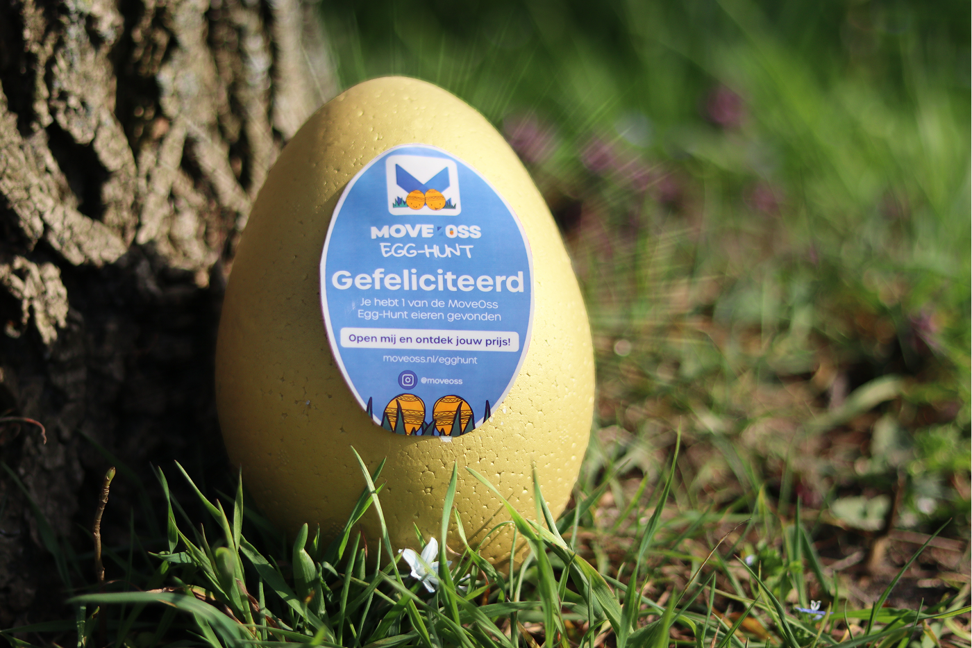 Gouden ei Egg-Hunt MoveOss