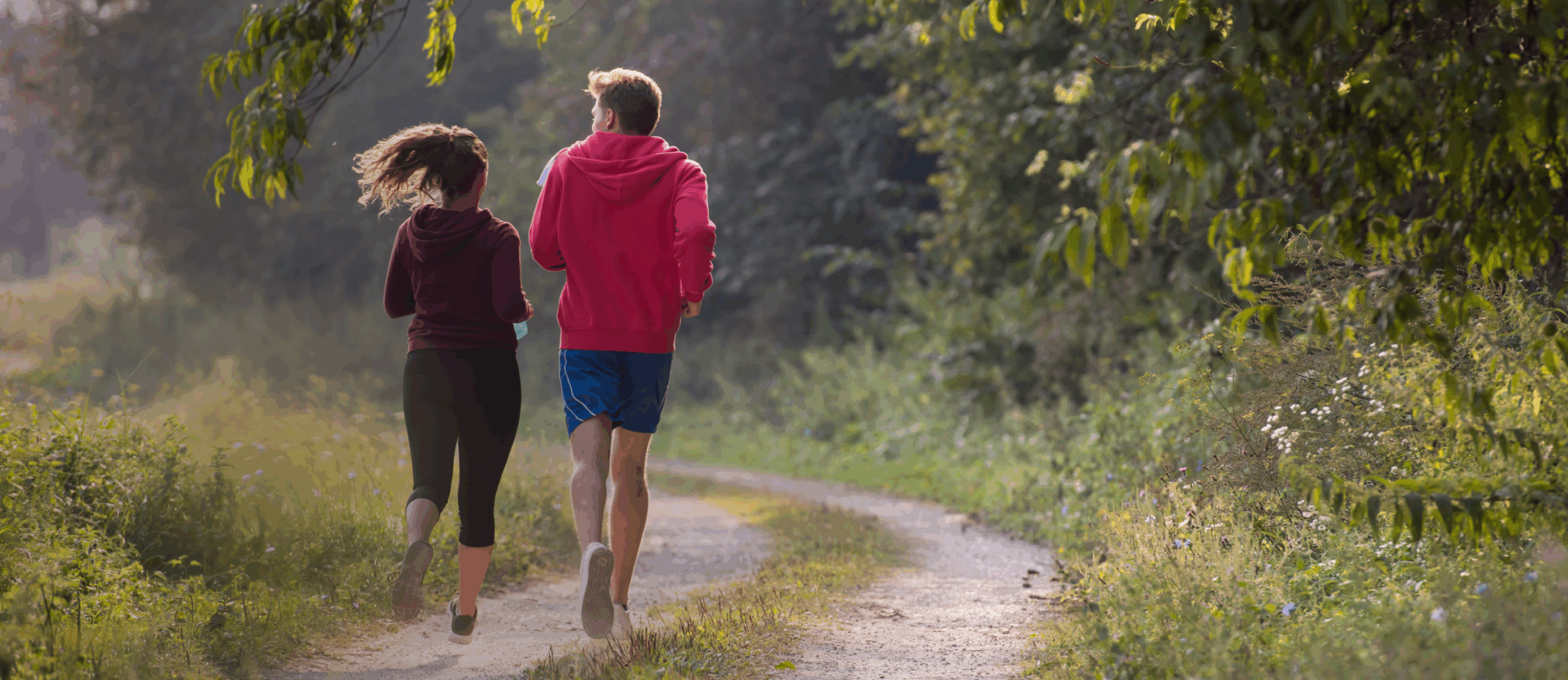 Header zomeractiviteiten Oss